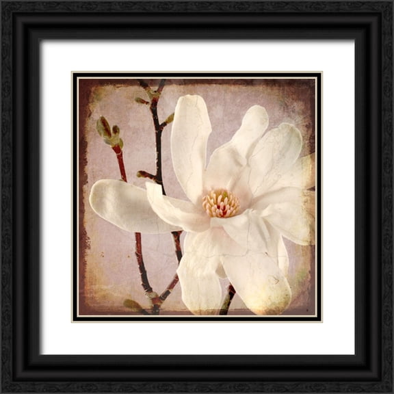 LightBoxJournal 12x12 Black Ornate Wood Framed with Double Matting Museum Art Print Titled - Paper Magnolia Closeup