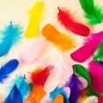 thumbnail image 4 of 100 piezas de plumas de ganso de colores naturales a granel 4-6 pulgadas (10-15 cm) para decoraciones de cupcakes, arte de bricolaje y atrapasueños, 4 of 5