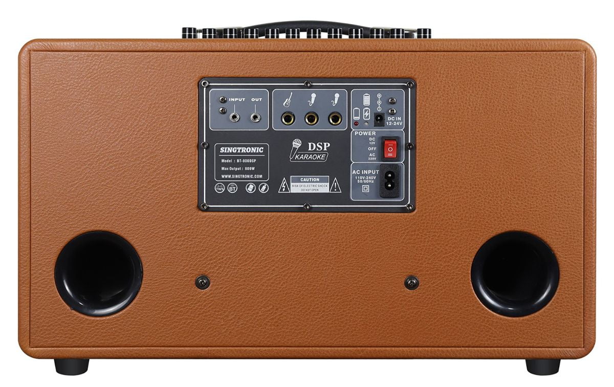 Singtronic BT-800DSP Professional 800W All-in-One Karaoke Machine with 2 Microphones, Bluetooth Speaker with Built-in DSP