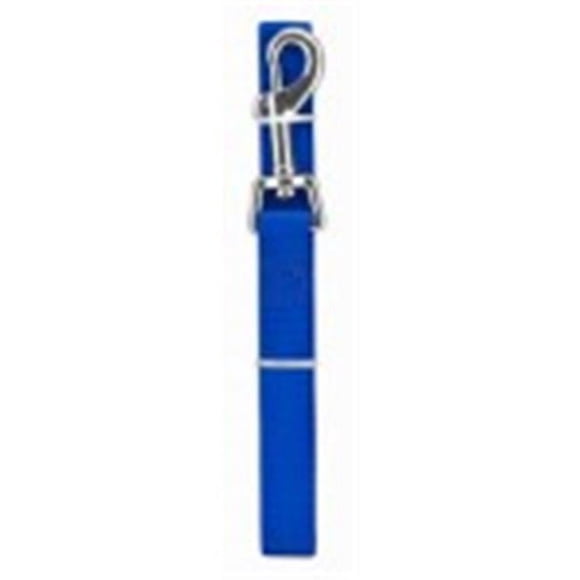 Westminster Pet Products 224305 0.75 x 6 in. Pet Expert Leash, Black & Blue