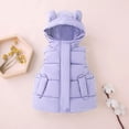 thumbnail image 4 of Chalecos cálidos con capucha para niños y niñas, ropa de otoño e invierno para niños, chaqueta para bebé, chaleco con cremallera, novedad de 2023, 4 of 5