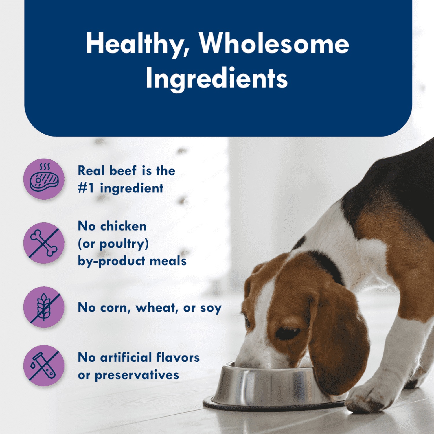 Blue Buffalo Delights Top Sirloin Flavor Pate Dog Food Trays, 3.5-oz, 99g