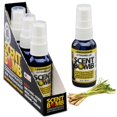 thumbnail image 1 of Spray ambientador Scent Bomb de citronela 30 ml, paquete de 4, 1 of 6