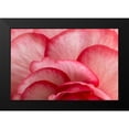 thumbnail image 2 of Crane, Rita 24x17 Black Modern Framed Museum Art Print Titled - Rosy Red Ruffles I, 2 of 5