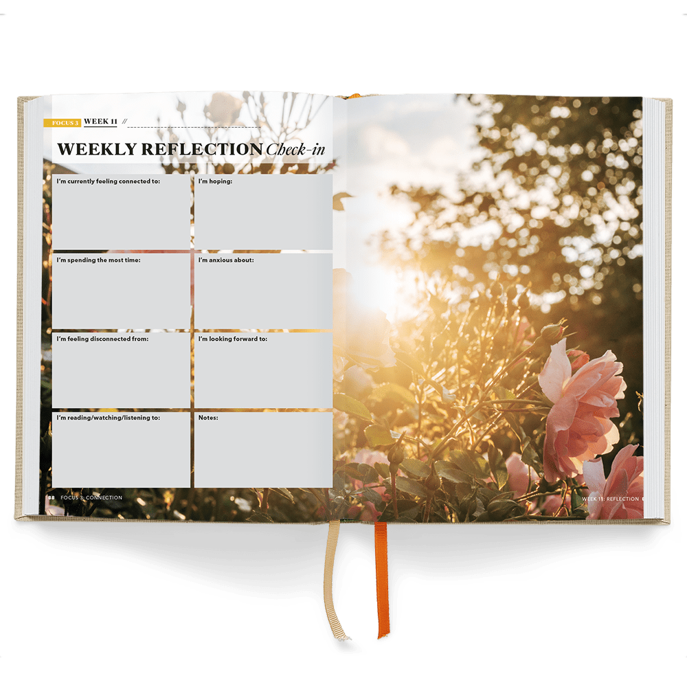 Oprah's the Life You Want Planner: Part Weekly Planner, Part Intention Journal