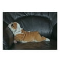 thumbnail image 3 of English Bulldog Cutting Board, Puppy Resting on a Sofa Funny Animal Photography Canine, Decorative Tempered Glass Cutting and Serving Board, Small Size, Seal Brown White Brown, by Ambesonne, 3 of 5