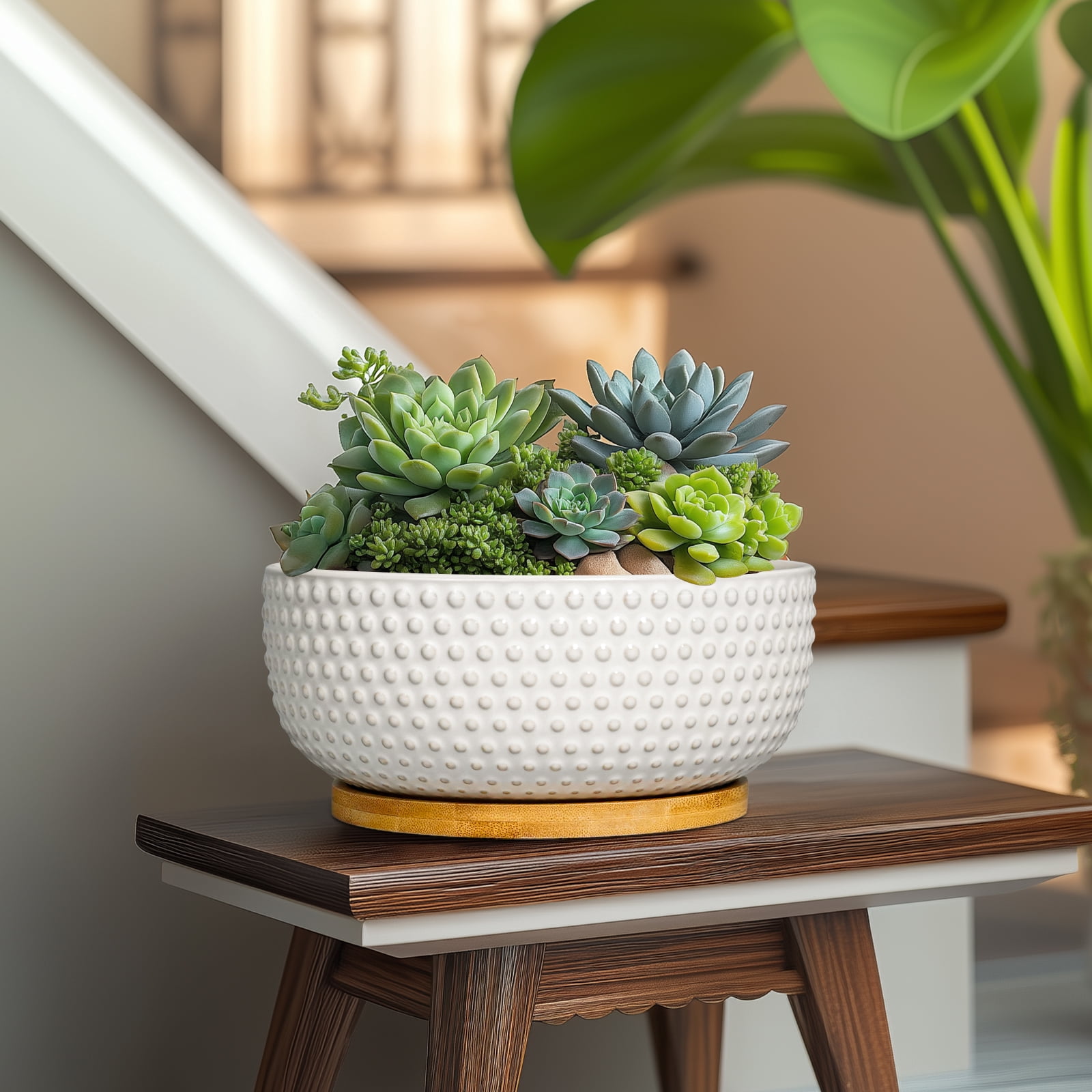 Ordivic 8 inch Round Off-White Ceramic Bonsai Pot with Drainage Hole & Saucer, Shallow Planter Bowl for Home Decor & Indoor Succulents