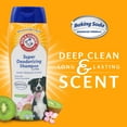 thumbnail image 6 of (3 pack) Arm & Hammer Dog Deodorizing Shampoo with Baking Soda, Kiwi Blossom Scent 20 oz, 6 of 12