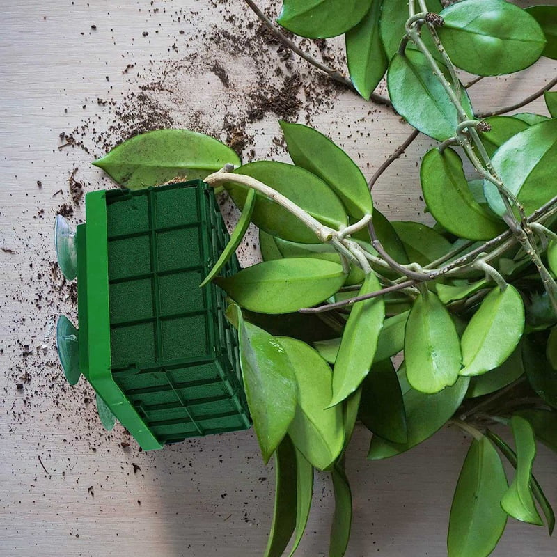 16 Pieces Cage Floral Foam for Flowers Square Floral Foam Cage Flower Holder with Floral Foam for Flowers Cage