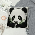 thumbnail image 2 of Nawypu  Panda Love Bear Throw Pillow Cover, Panda Lover Gifts for Women Girls Kids, Double Sided  Panda Bear Pillow Case Panda Themed Room Girls Bedroom Home Sofa Nursery Decor, 2 of 5
