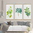 thumbnail image 3 of wall26 Hanging Poster with Wood Frames Beautiful Green Plants Home Wall Poster Prints Ready to Hang - 18"x36"x3 Panels, 3 of 4