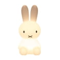 thumbnail image 1 of Lindo Conejito Luz Nocturna Regalos para Habitación de Niños Guardería Dormitorio de Bebé Niñas Adolescentes Decoración de Habitación Kawaii, Linda Lámpara de Conejito de Silicona Recargable, 1 of 5