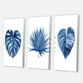 thumbnail image 3 of Designart ' Tropical Leaves In Classic Blue ' Tropical Canvas Wall Art Print, 3 of 3
