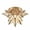 Gold, variant on Dazhuan Moravian Star Light Flush Mount Celing Light Seeded Glass Shade Boho Moroccan Ceiling Lamp for Kitchen Foyer, 1-Light
