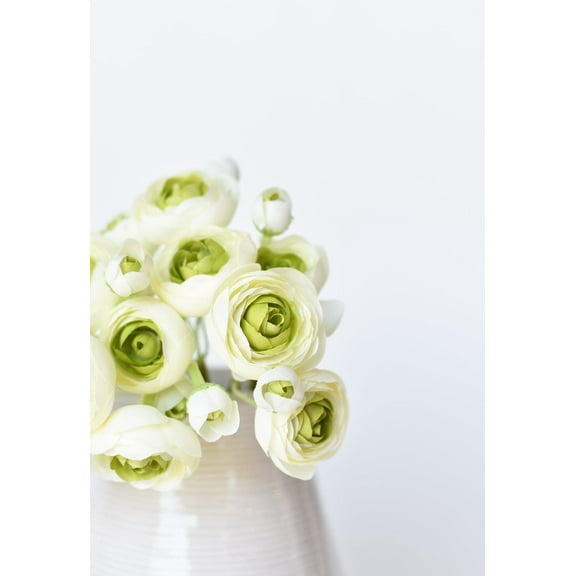 10.5" Faux White   Green Ranunculus Stem Bundle