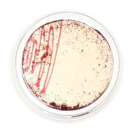 Freshness Guaranteed Red Velvet Cake, Serves 10, 31 oz (Refrigerated Cakes)