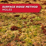 Amdro Mole & Gopher Bait Kills Moles & Gophers, 1lb.