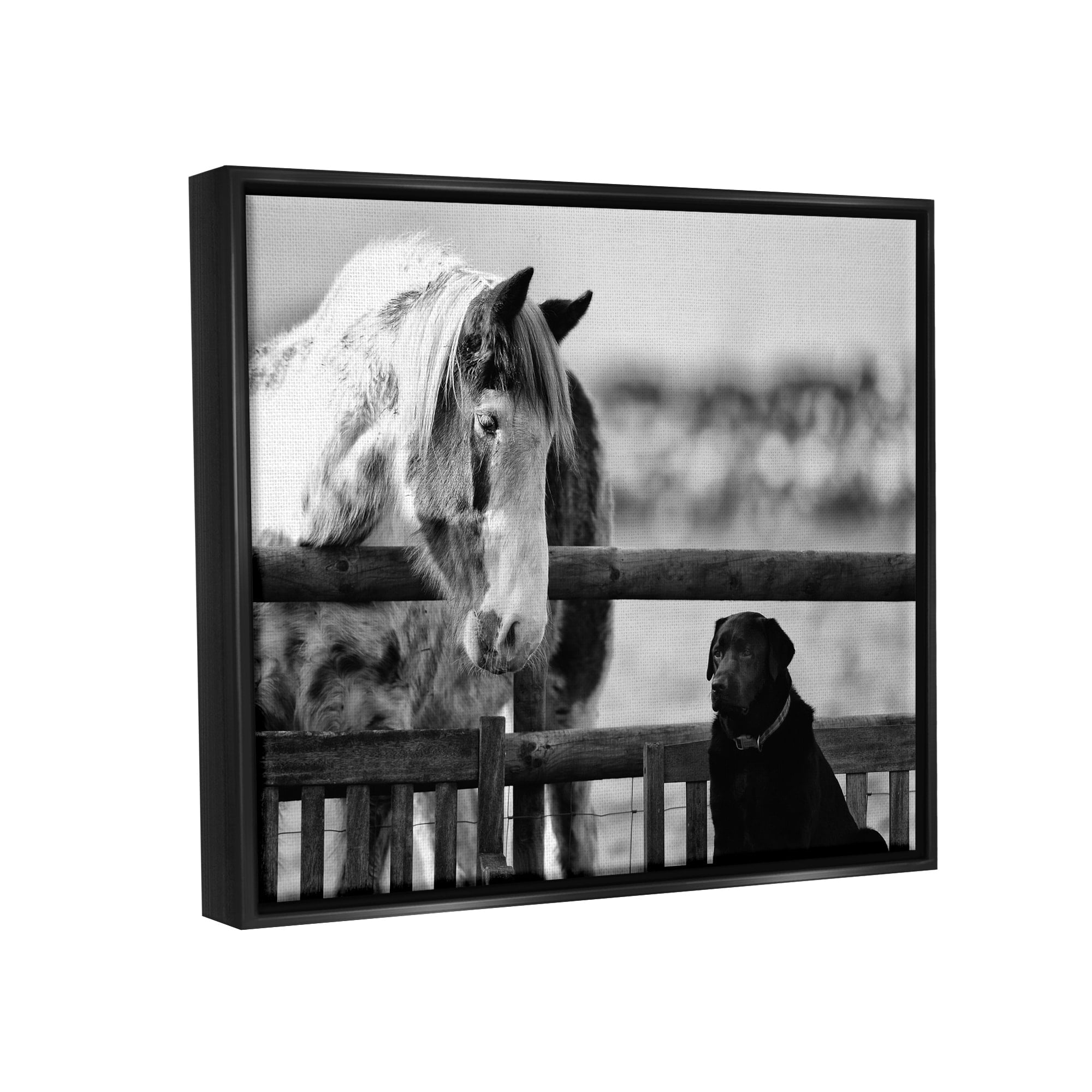 Stupell Industries Dog & Horse Farm Animal Friends Monochrome Photography Photograph Jet Black Floating Framed Canvas Print Wall Art, Design by James Dobson