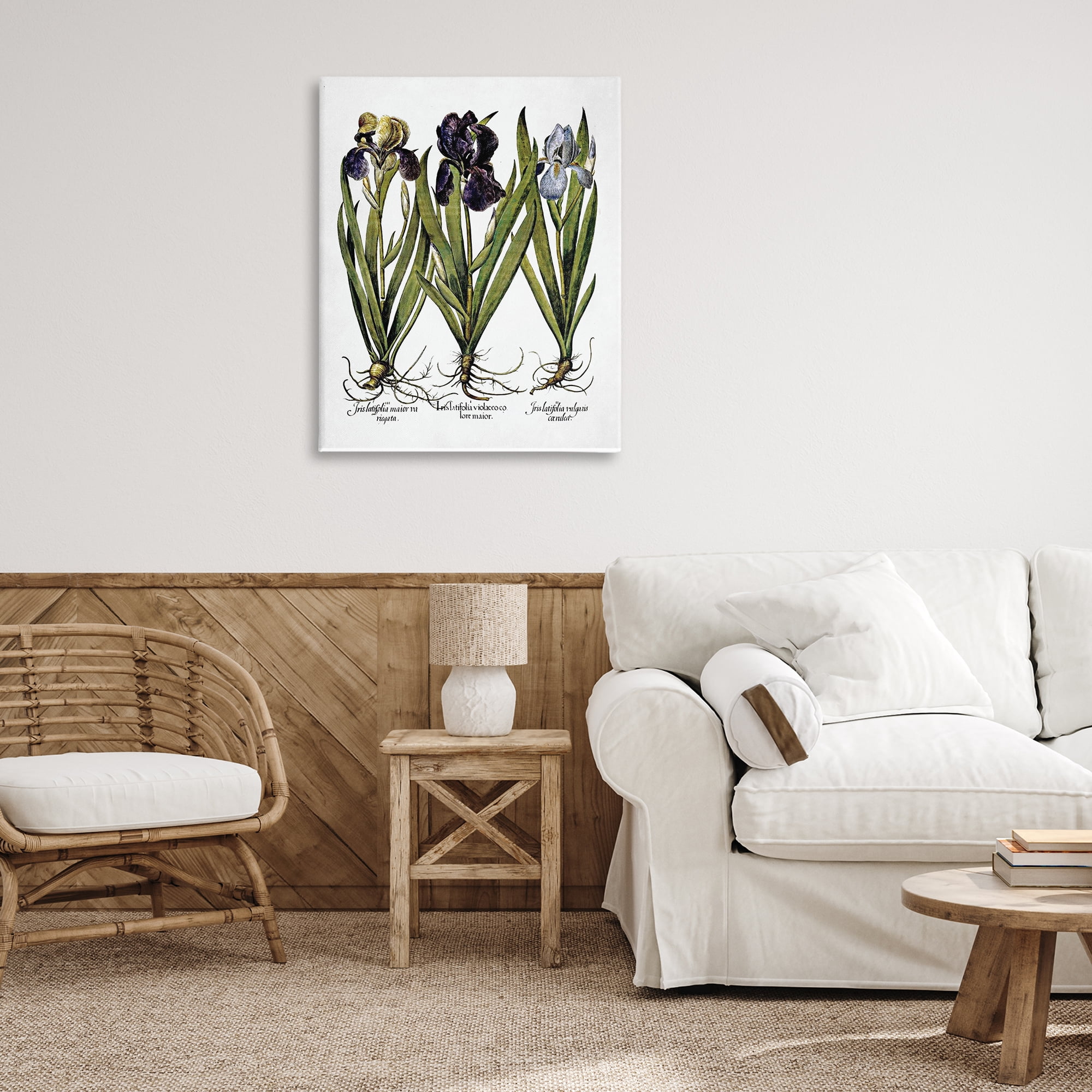 Stupell Industries Vintage Iris Studies Botanical & Floral Painting Gallery Wrapped Canvas Art Print Wall Art, 30 x 40