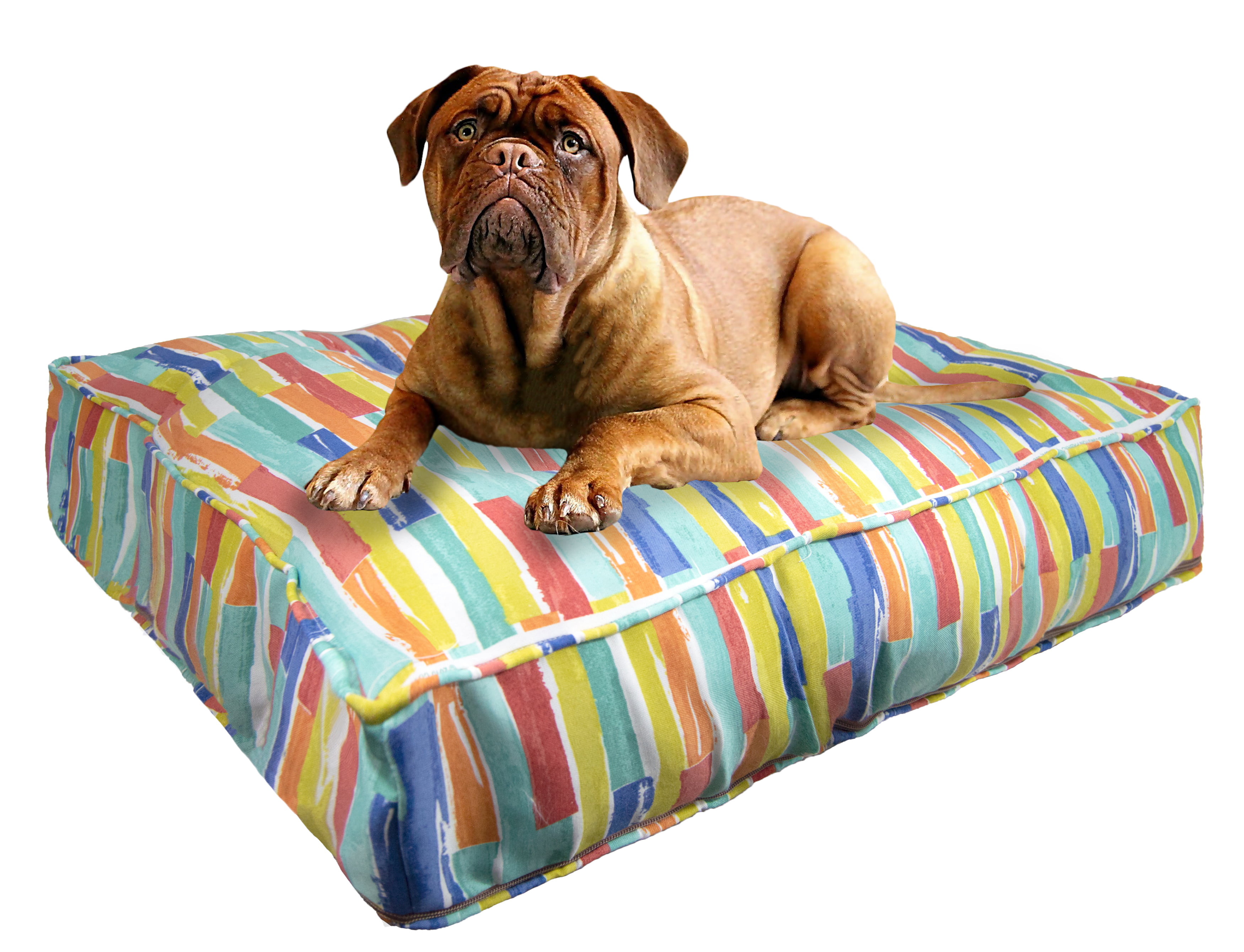 pet bed inside mattress