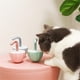thumbnail image 2 of Cat Laser Toy Pet Automatic Laser Cat Toys for Indoor Cats Kitten Tumbler Interaction Toys, 2 of 5