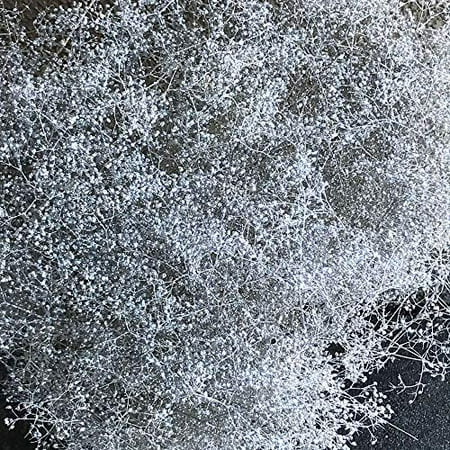 Preserve Bouquet Green Floral Crafts | Preserved Sparkle Gypsophilia | Dried Baby's Breath for Wedding Bouquets & Centerpieces | Sparkle Silver ()
