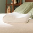 thumbnail image 1 of Small Size Pillow, Firm Support, Adaptable Comfort & Relief Washable Cover,, 1 of 9