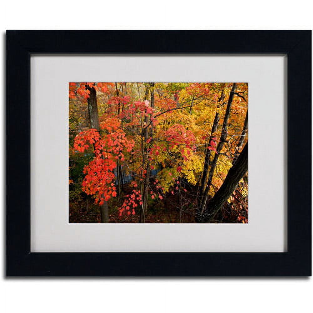 Trademark Fine Art "Brilliant Autumn Forest" Canvas Art by Kurt Shaffer, Black Frame