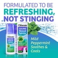thumbnail image 3 of Moisturizing Saline Nasal Spray for Dry Nose & Congestion Relief – Gentle, Drug-Free Isotonic Saline Solution Nose Spray with Natural Mint, 100 mL, 3 of 12