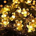 thumbnail image 1 of Cadena de luces solares con forma de flor de cerezo, impermeable, LED para exteriores, jardín, patio, decoración navideña para interiores (12 m, blanco cálido), 1 of 5
