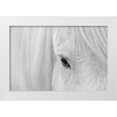 thumbnail image 1 of Fan, John 32x23 White Modern Wood Framed Museum Art Print Titled - Whisper of Iceland, 1 of 4