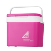 Portable 10L Car Refrigerator Ice Bucket Mini Fridge Cooler and Warmer Picnic Icebox for Skincare Snacks Cans Home and Travel