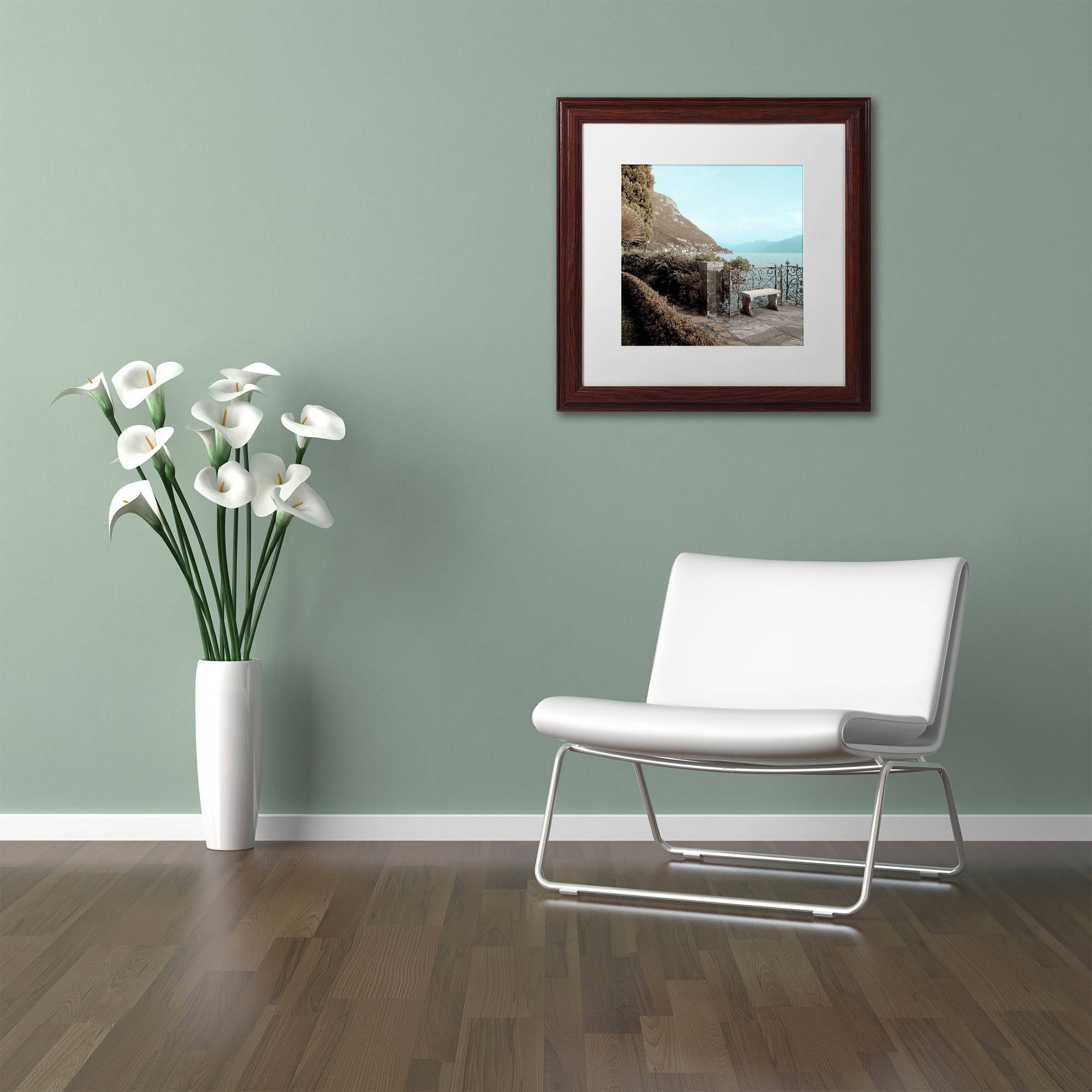 Trademark Fine Art "Lake Vista IV" Canvas Art by Alan Blaustein, White Matte, Wood Frame