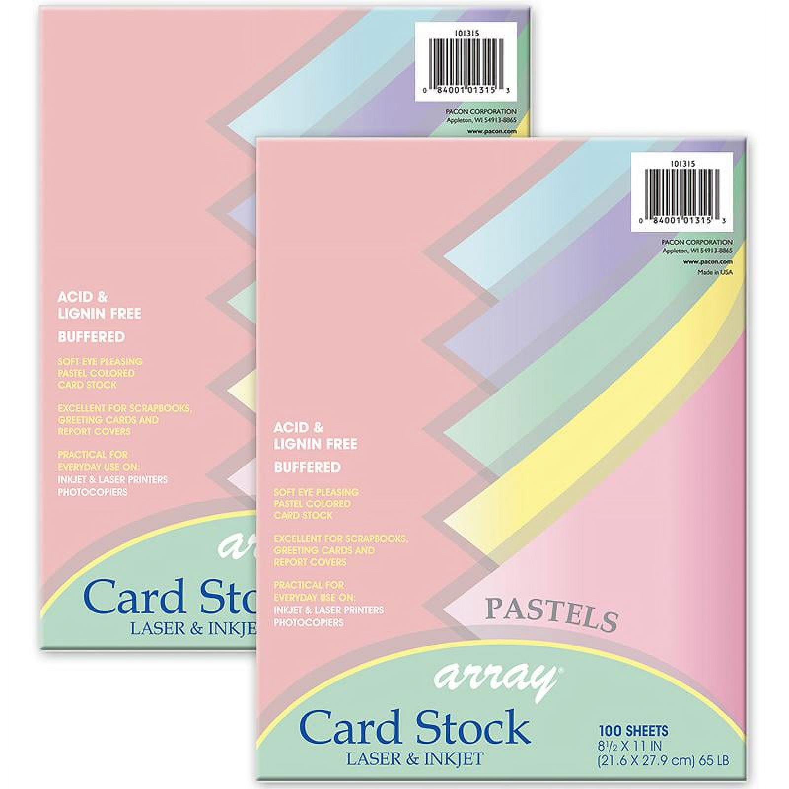 Dixon Ticonderoga PAC101315-2 Array Pastel Liter Card Stock, Assorted Color - 100 Sheet - Pack of 2