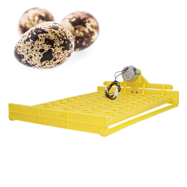 Bandeja Automática Para Incubadora De Huevos, Bandeja Giratoria Automática Ligera Para Huevos, Calentamiento Uniforme Y Conveniente Para Huevos De Codorniz