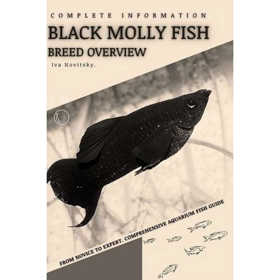 Black Molly Fish: From Novice to Expert. Comprehensive Aquarium Fish Guide (Paperback)