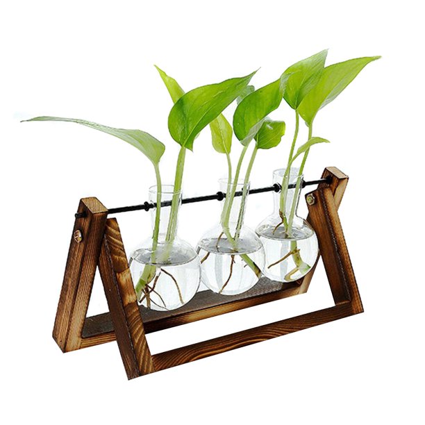 Hydroponic Glass Planter Bulb Vase with Wooden Stand Tray Tabletop Desk