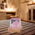 thumbnail image 2 of SUNSIOM Veilleuse, Lampe de Chevet Moderne Transparente en Forme de Cube Cerf Arbre Sakura pour Chambre, 2 of 6
