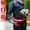 Red, variant on Moclever Pet Dog Sling Carrier Dog Sling with Net Bag for Carrier Dogs Cats Hands Free Pet Bag Dog Sling Backpack, Pink, 13.78x10.24x1.57in