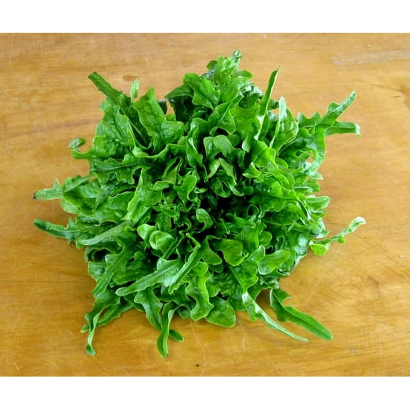 Lettuce Oakleaf Royal Great Heirloom Vegetable By Seed Kingdom 50,000 Seeds