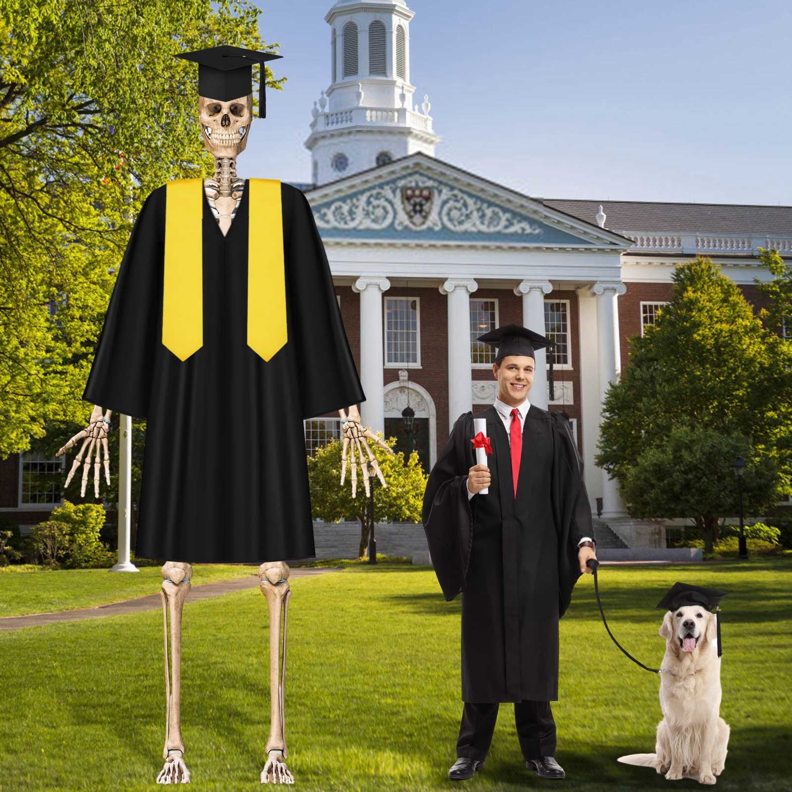 3Pcs Graduation 12ft Skeleton Clothes Accessories Skeleton Graduation Clothing With Hat Shawl Skeleton For 12 Ft Skeleton Dress Graduation Decoration Puppy Party Decorations for Girls Event Horizon