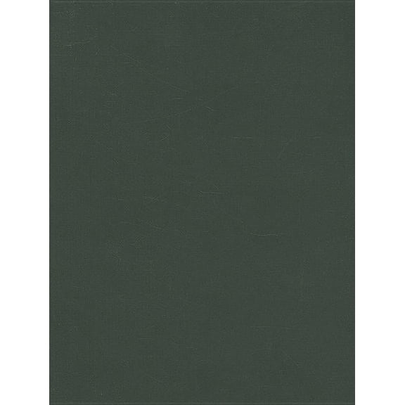 Child Protection: An Introduction, (Hardcover)