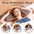 thumbnail image 2 of Funda de almohada SUTERA Dream Deep Silverthread para almohada ortopédica, 2 of 8