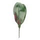 thumbnail image 5 of Simulación de Hojas de Phalaenopsis EVA Hojas de Orquídea Tallos de Cymbidium de Látex de Tacto Real de Hoja de Imitación para Arreglos Florales Decoración de Macetas ANGGREK Otros, 5 of 8