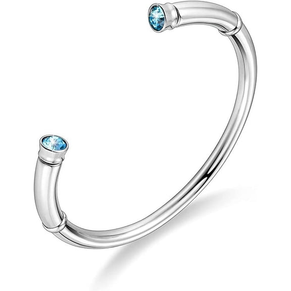 Urn Bracelet for Ashes Stainless Steel Cremation Bracelet with Birthstone Memorial Jewelry Ashes Holder for Women