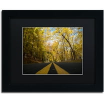 Trademark Fine Art "Autumn Along the Valley Parkway" Canvas Art by Kurt Shaffer, Black Matte, Black Frame