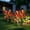 Red, variant on sruoe Outdoor Patio Garden Lights Decor, Stake Lamp, Waterproof Solar Lights Outdoor, Ground Lights Decoration, Flowers Stake Lights for Outside Yard Lawn Ornaments