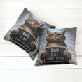 thumbnail image 5 of Ambesonne Cat Throw Pillow Cover Pack of 2, Whimsical Bad Kitty Mug Shot, 2 Pcs-26"x26", Umber and Pale Blue Grey, 5 of 5