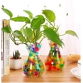 thumbnail image 2 of Hidrogel para plantas Storyland Hidrogel, 2 of 3