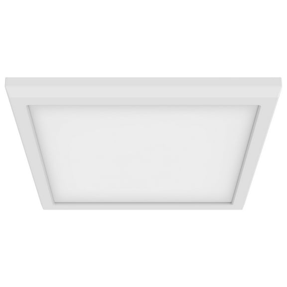 Blink Pro - Light White Utilitarian Aluminum Flush Mount Light